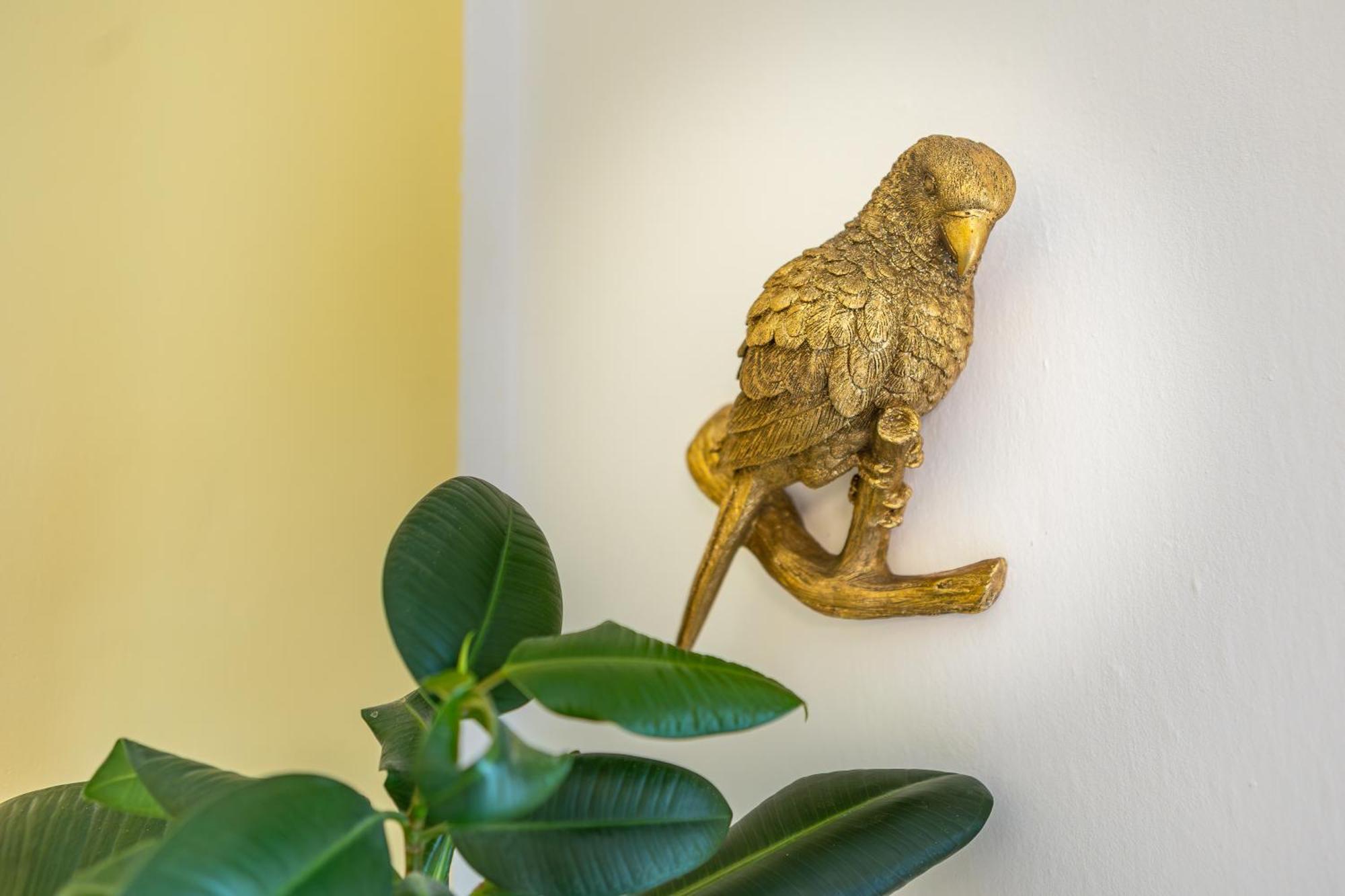 Apartament Domo Βρότσλαβ Εξωτερικό φωτογραφία